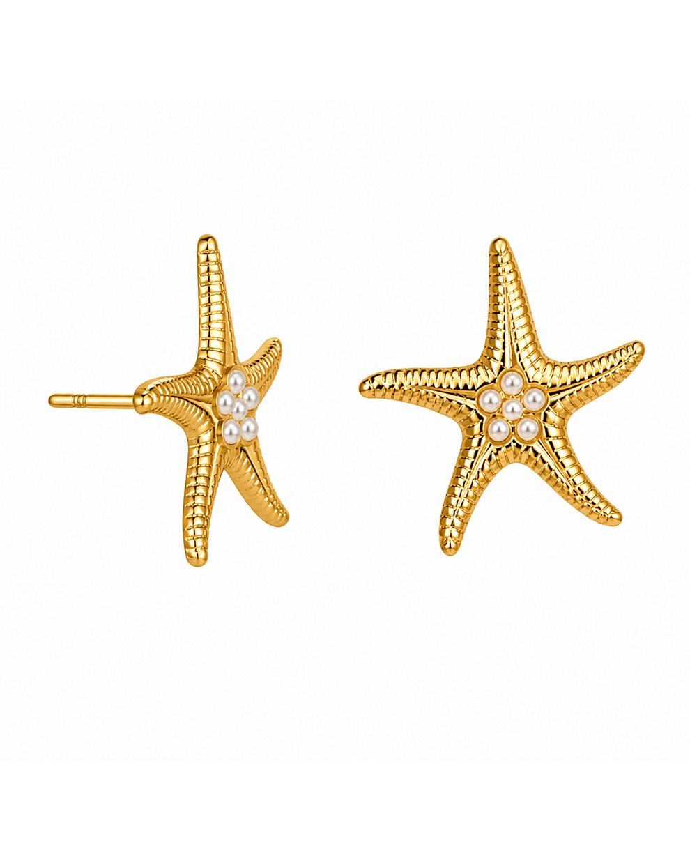 Starfish Image 2