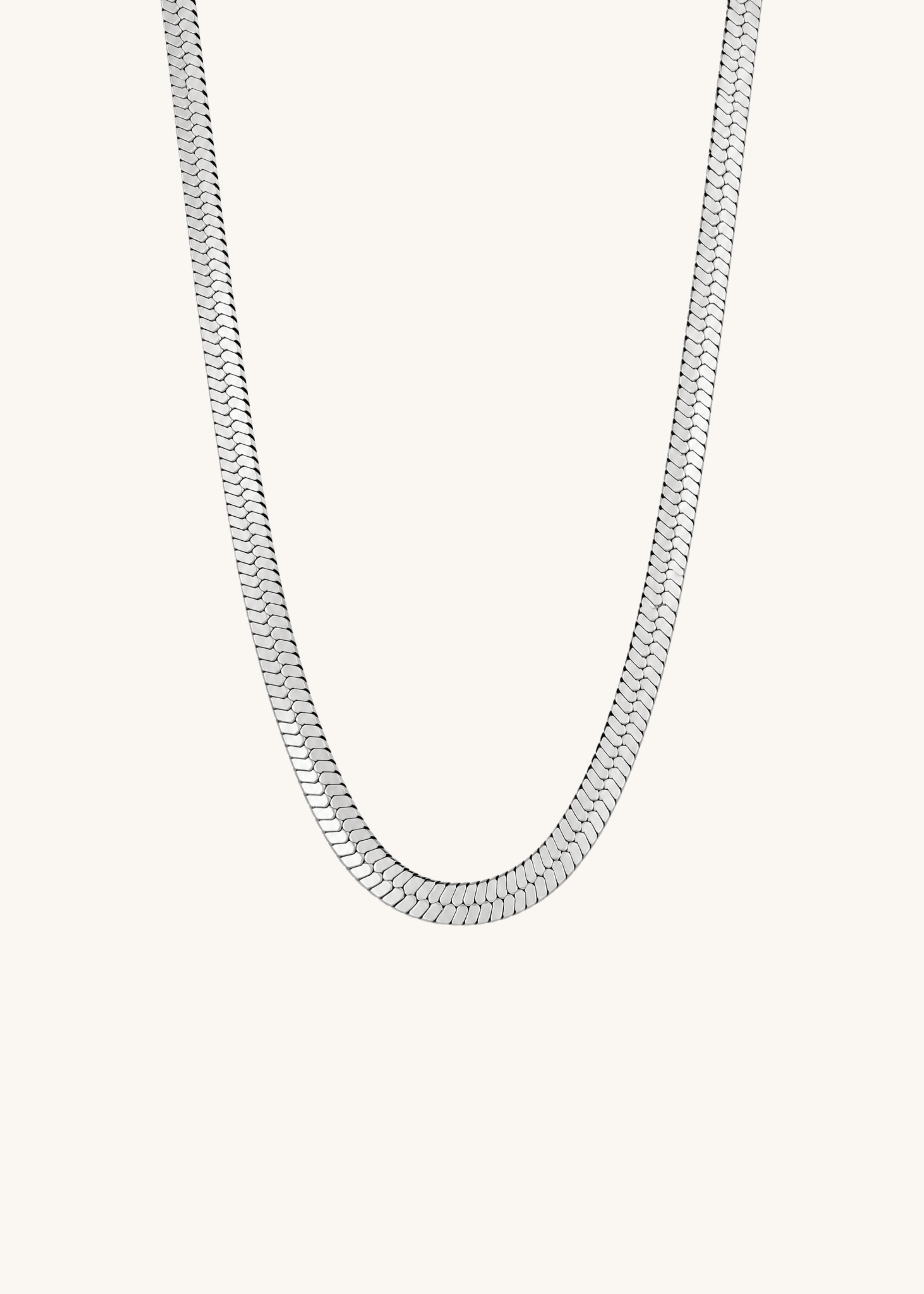 Silverspine Image 1