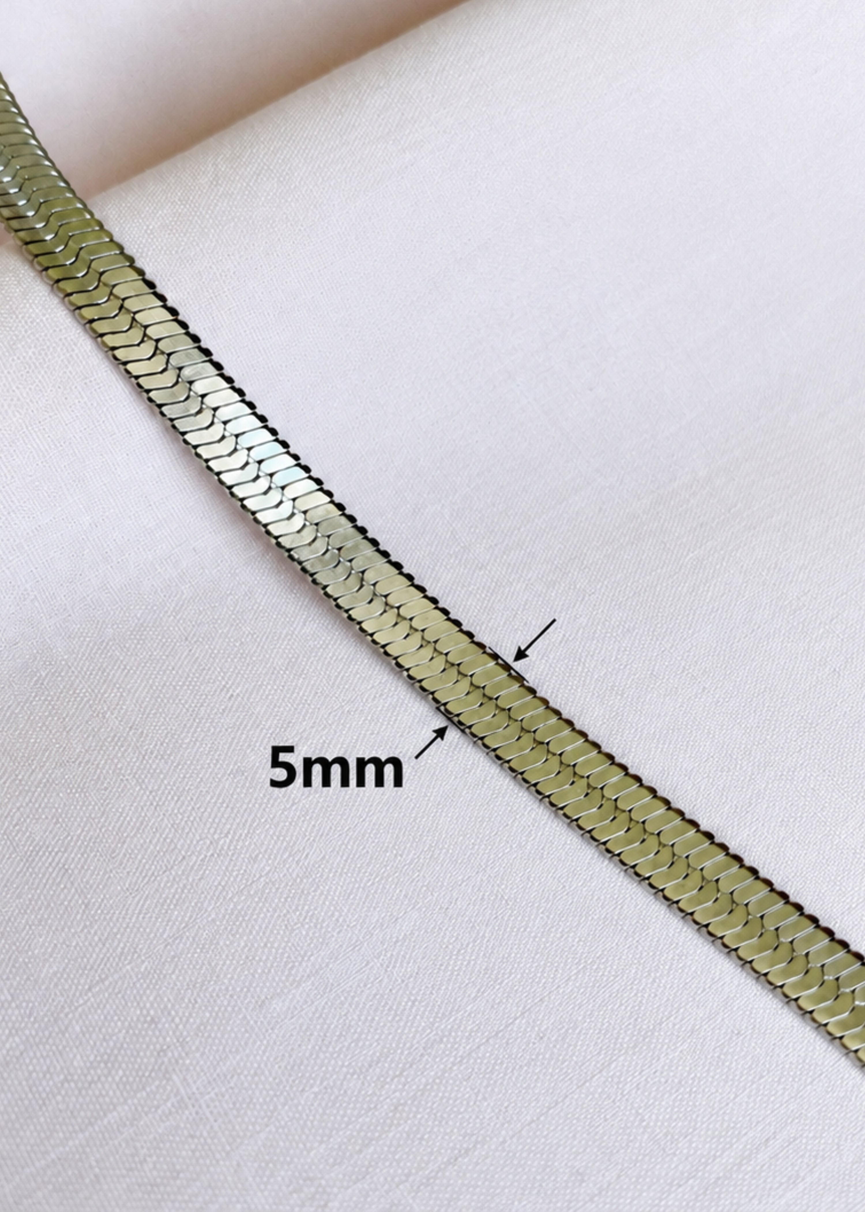 Silverspine Image 4
