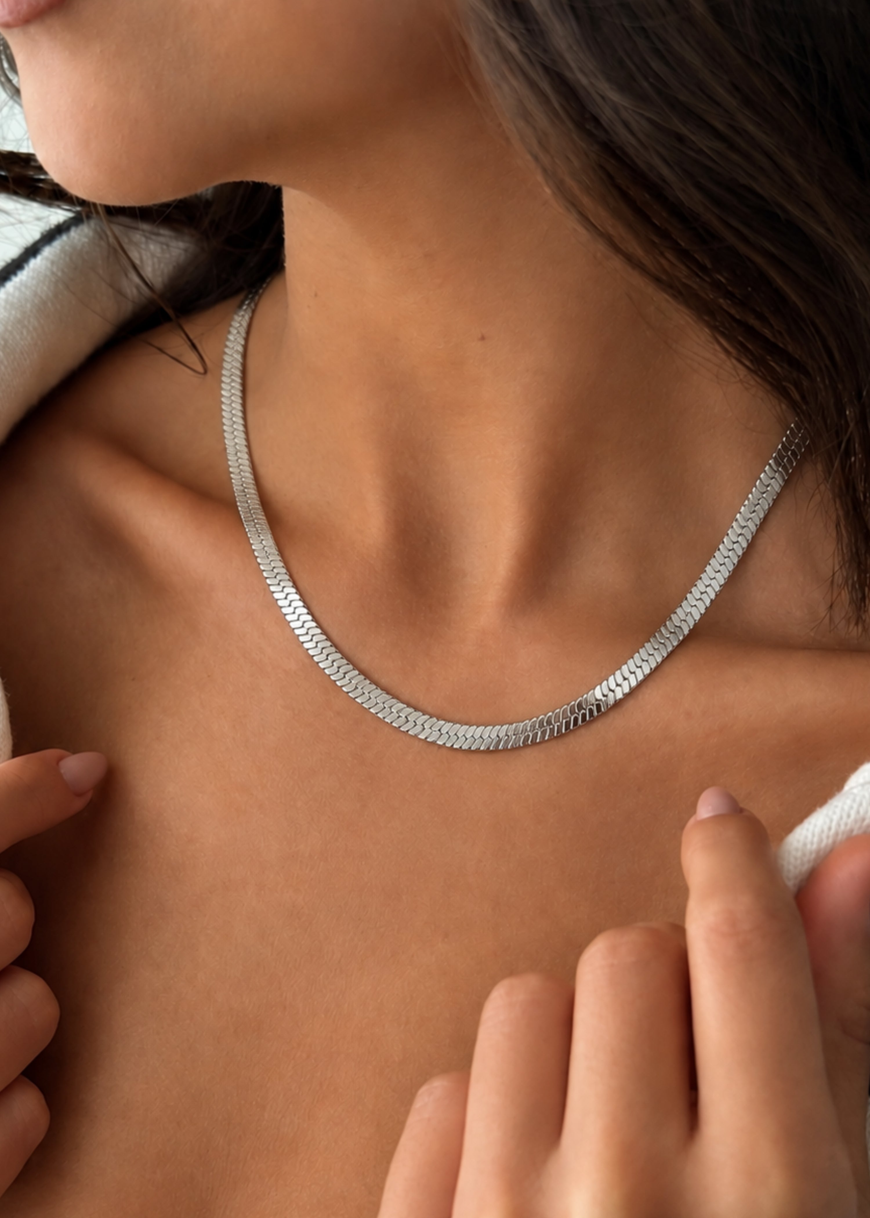 Silverspine Image 3