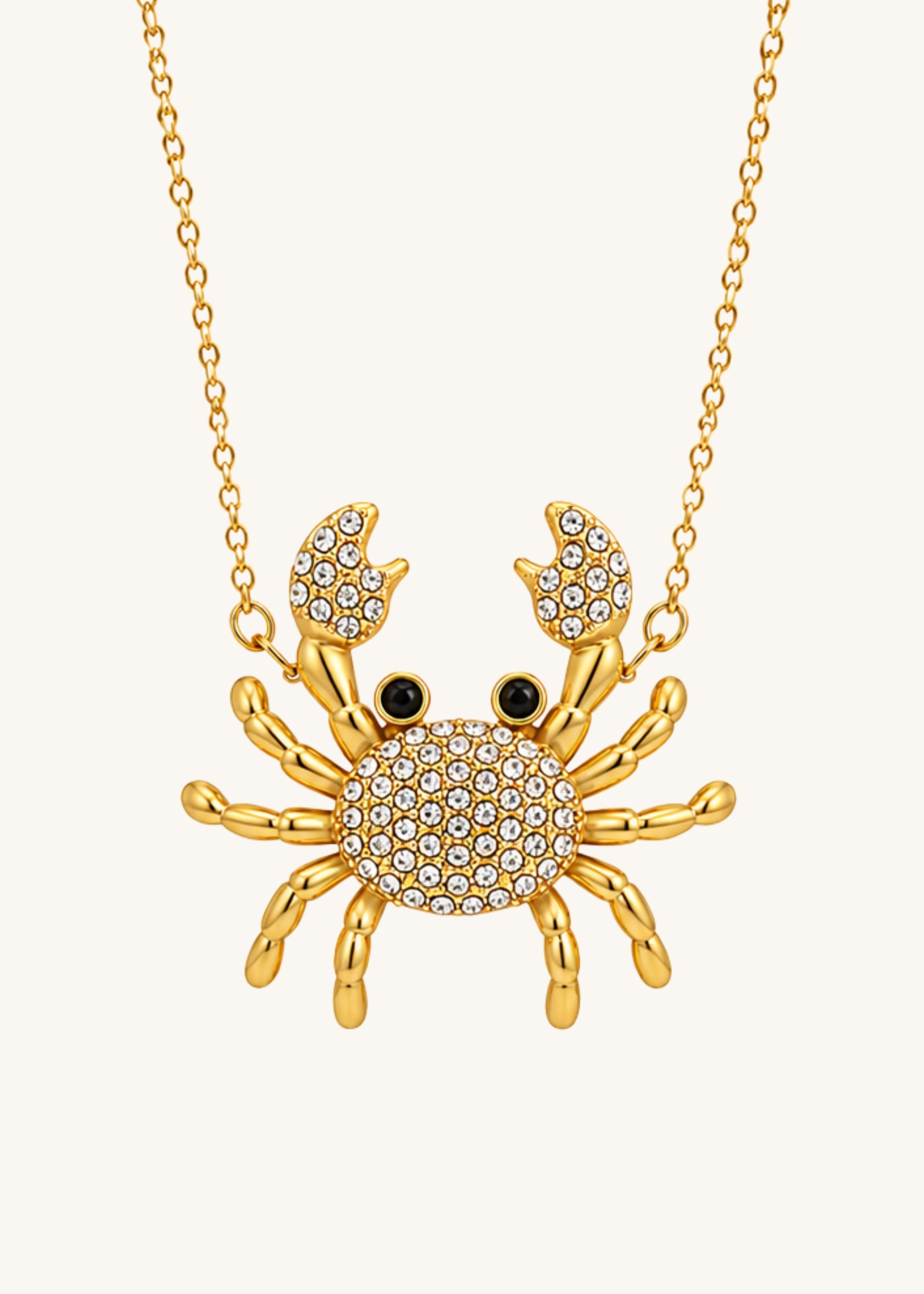 Sand Crab