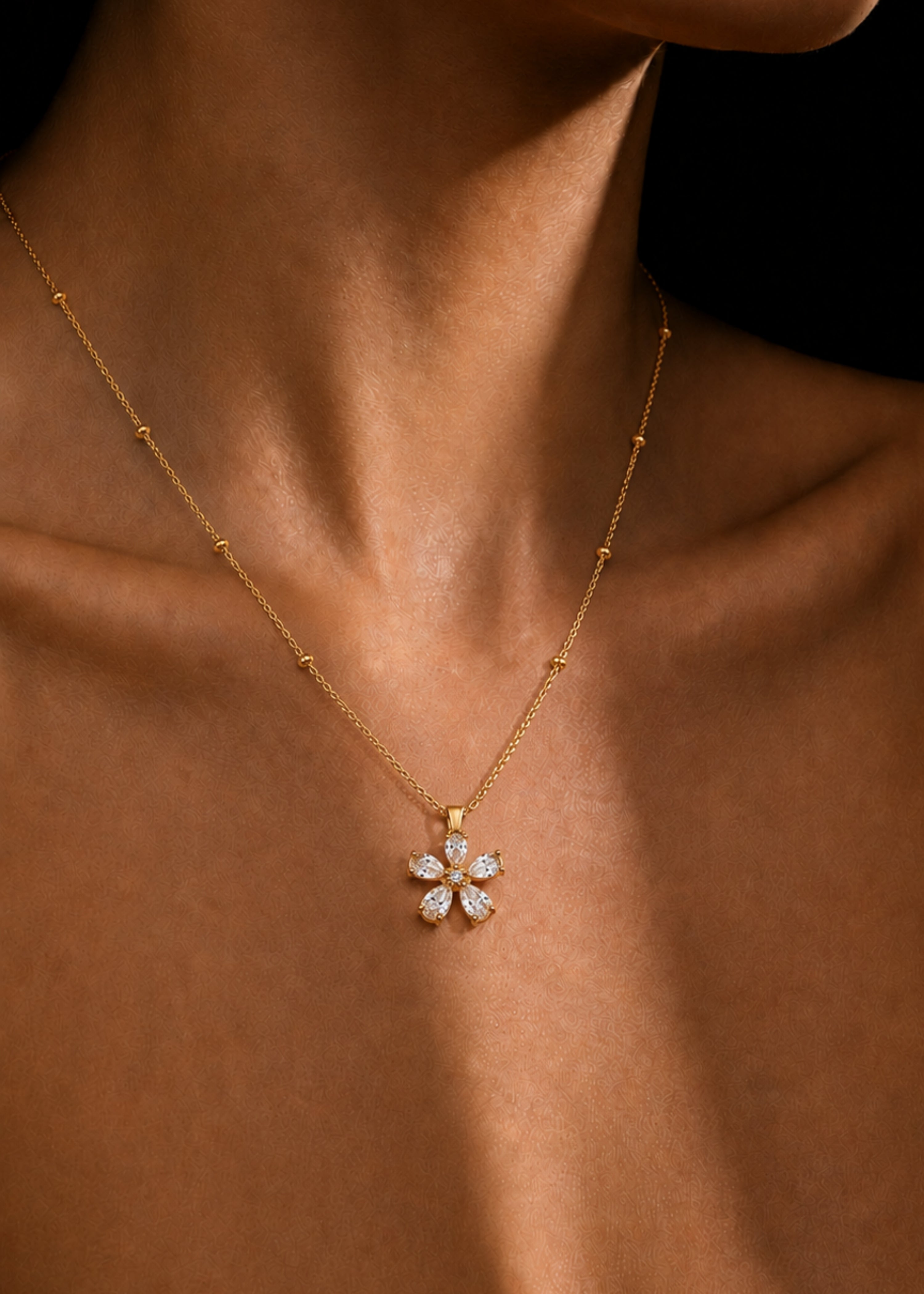 Starflower Image 3